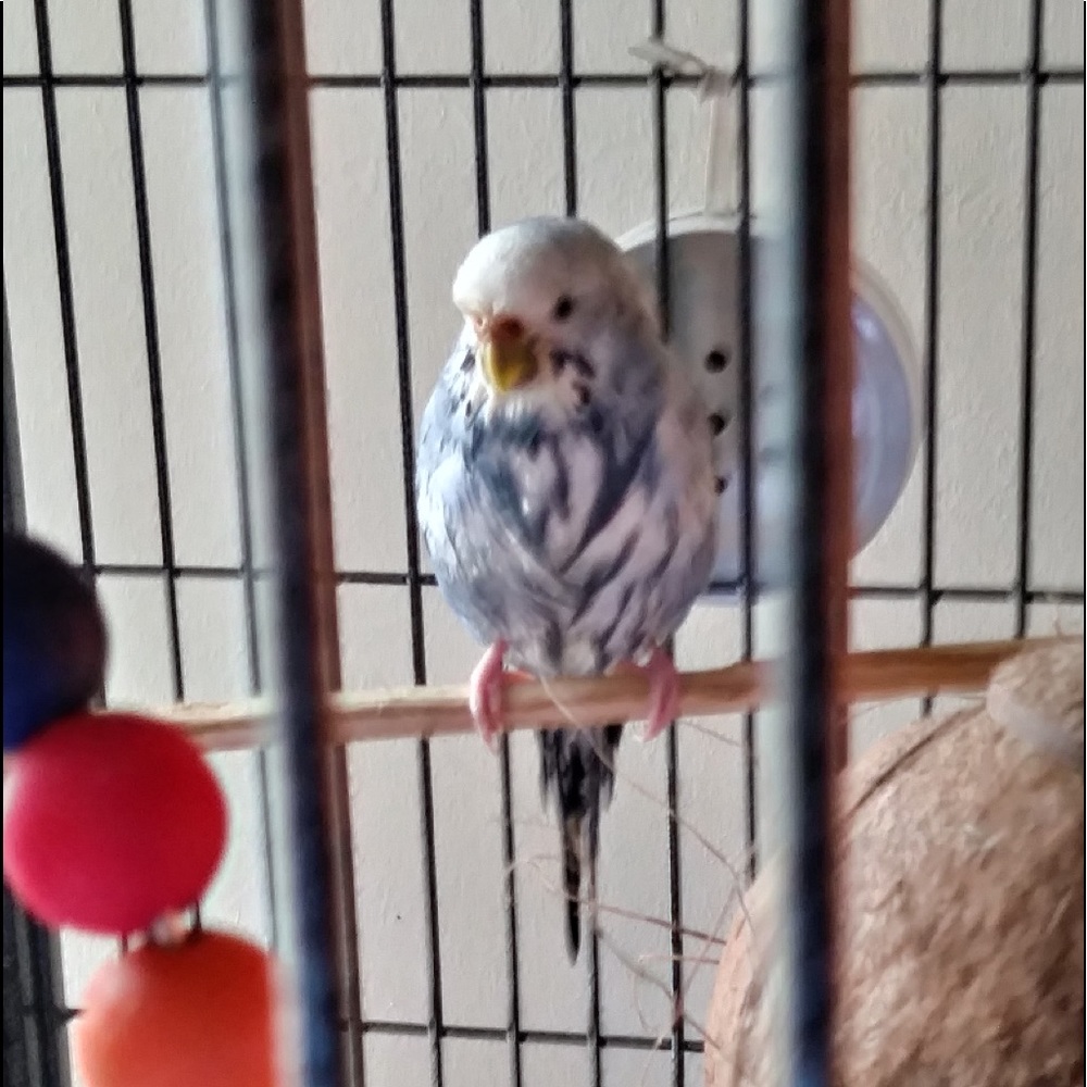 Meet your Posher, Kevin